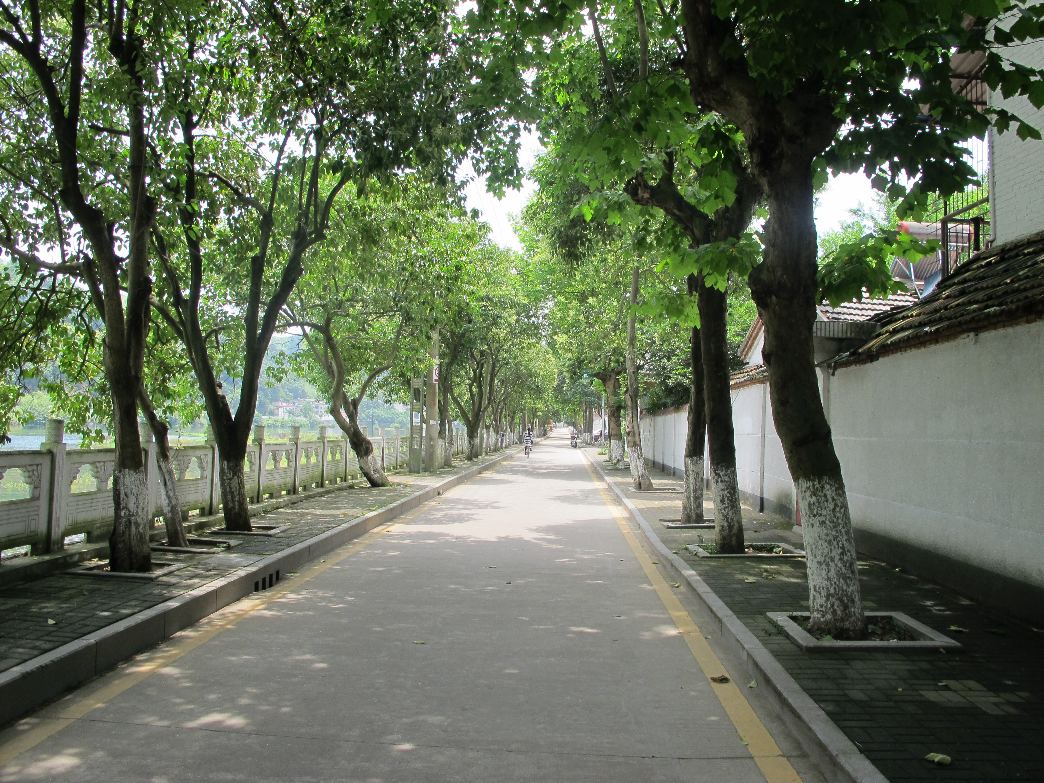 去皖西金寨，纯属一个美丽的意外（一）