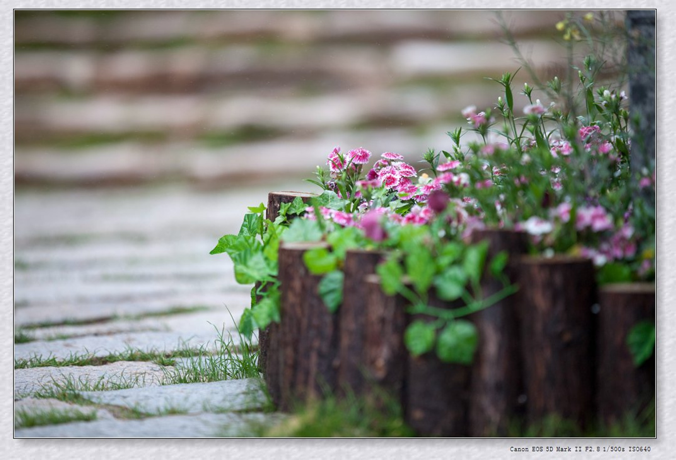 常州旅游东方盐湖城,骆驼之旅视频