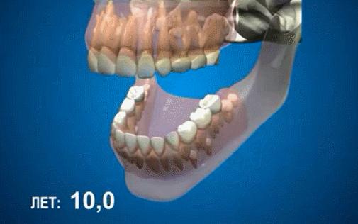 瀛欎开缁欏瀛愮湅鐨勭墮榻跨殑瑙嗛,瀛欎开鎹㈢墮