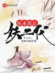 橙瓜小说评分,橙瓜看小说好不好