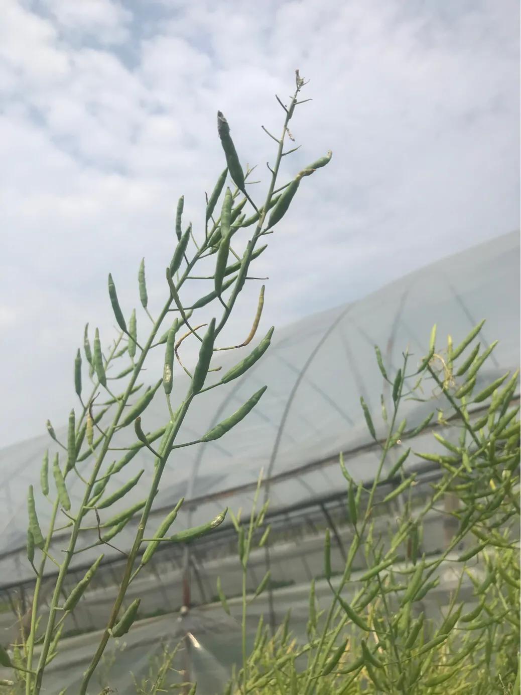 奉化旅游团一日游,奉化乡村一日游最佳景点