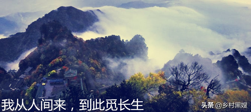 古人怎么理解仙神？神在天仙在山！一口气搞懂古人心目中的仙道