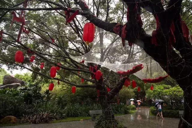 今晚，广州的这个村火了！所有的情侣都往这里跑