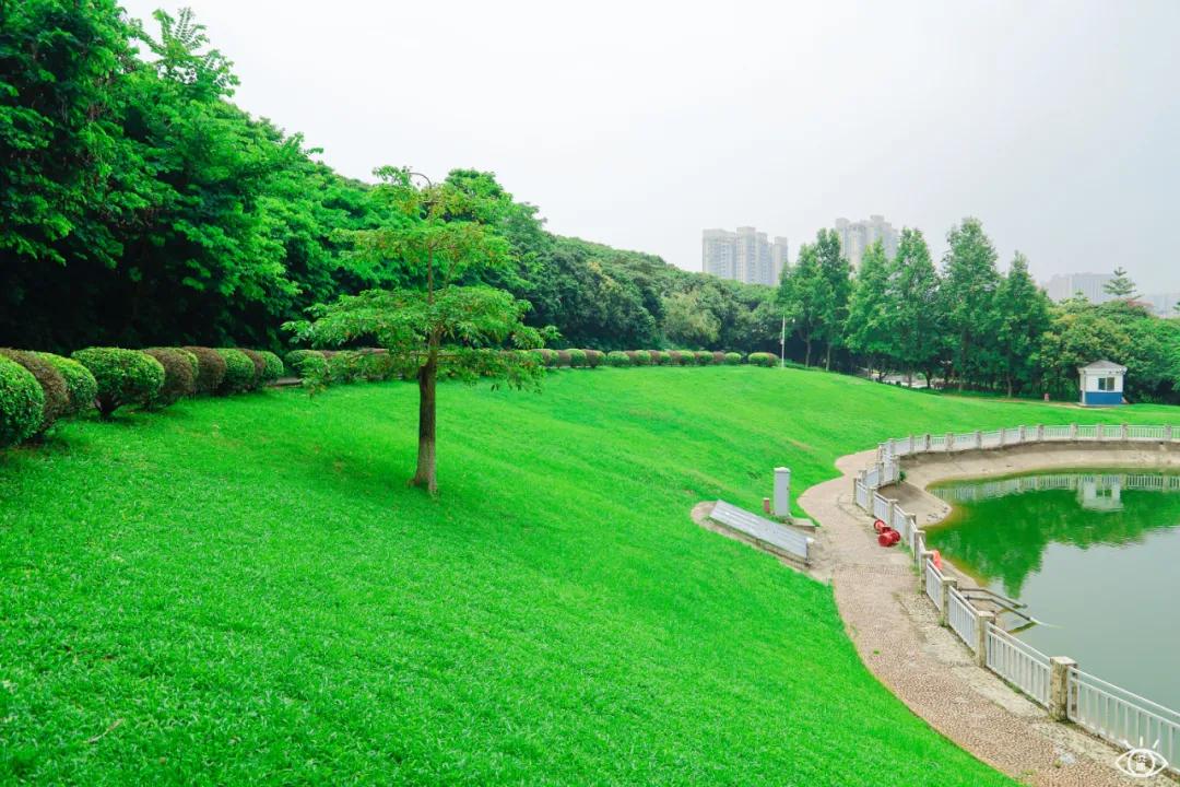 深圳宝藏公园风景图片,深圳宝藏自然游乐区