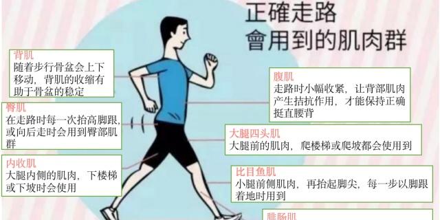 荒野健康:手把手1V1教你瘦腿,不再盲目训练啦