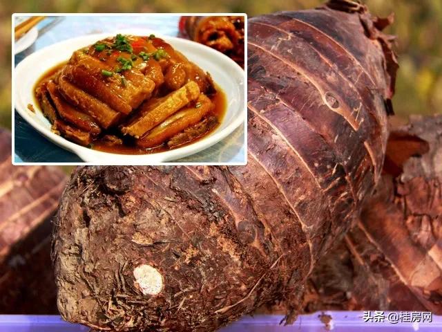 桂林旅游业的发展情况,桂林旅游业发展新趋势