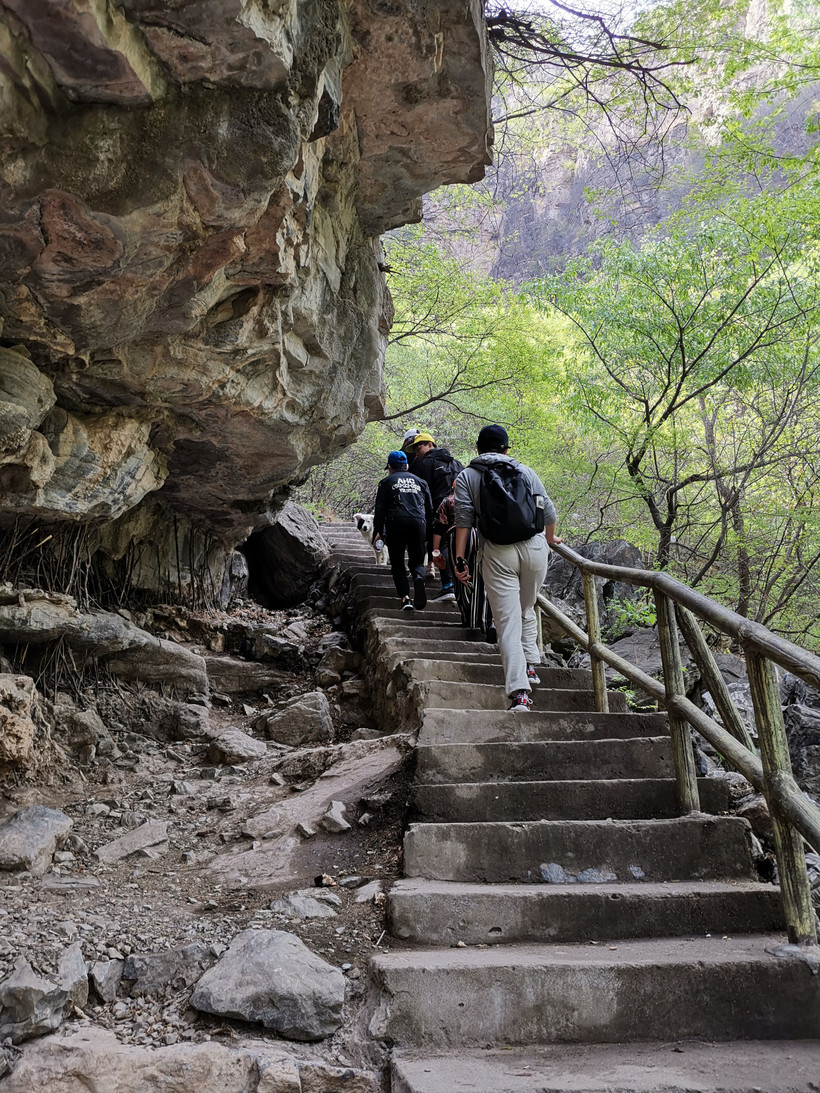北京周边旅游野鸭湖攻略,北京东湖港旅游攻略