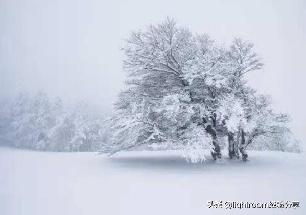 如何拍摄雪景慢动作教程,如何清晰拍雪景