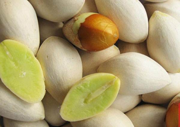 路边的树叶不要捡,银杏树在乡村两旁可以摘吗