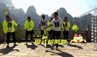 村花撒贝宁:我,43岁,*戏调**马云,芳心纵火犯