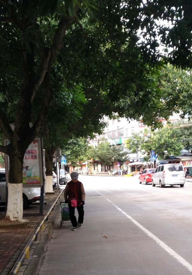 肺炎肆虐，谈虎色变，钦州怎么样？