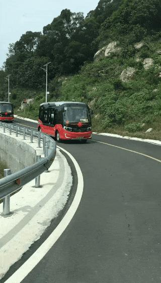 今天来莲前，给你别样的宠爱