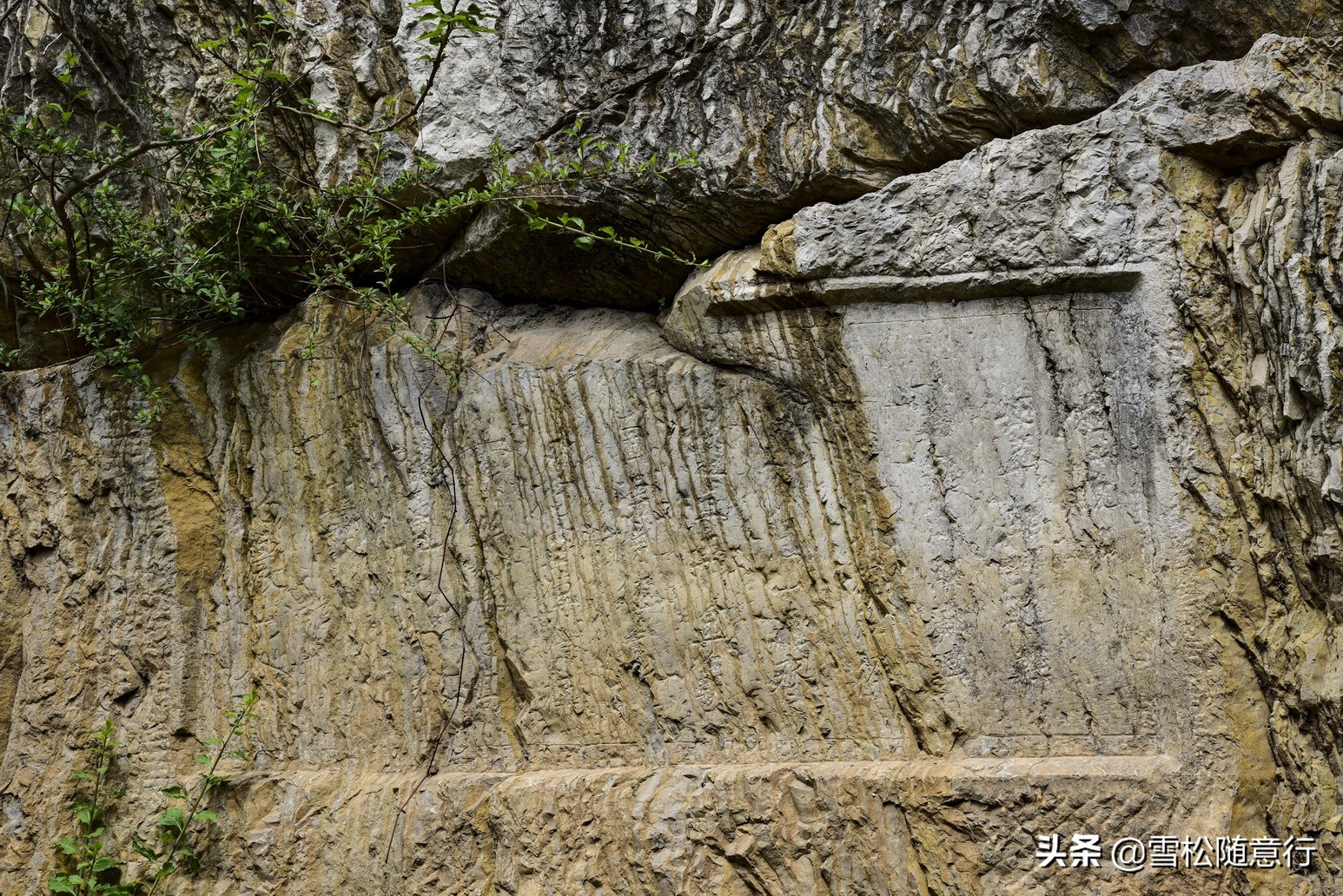琛岃蛋鍦ㄤ含鏉ぇ杩愭渤,寰愬窞澶ц繍娌宠寘鏉戞