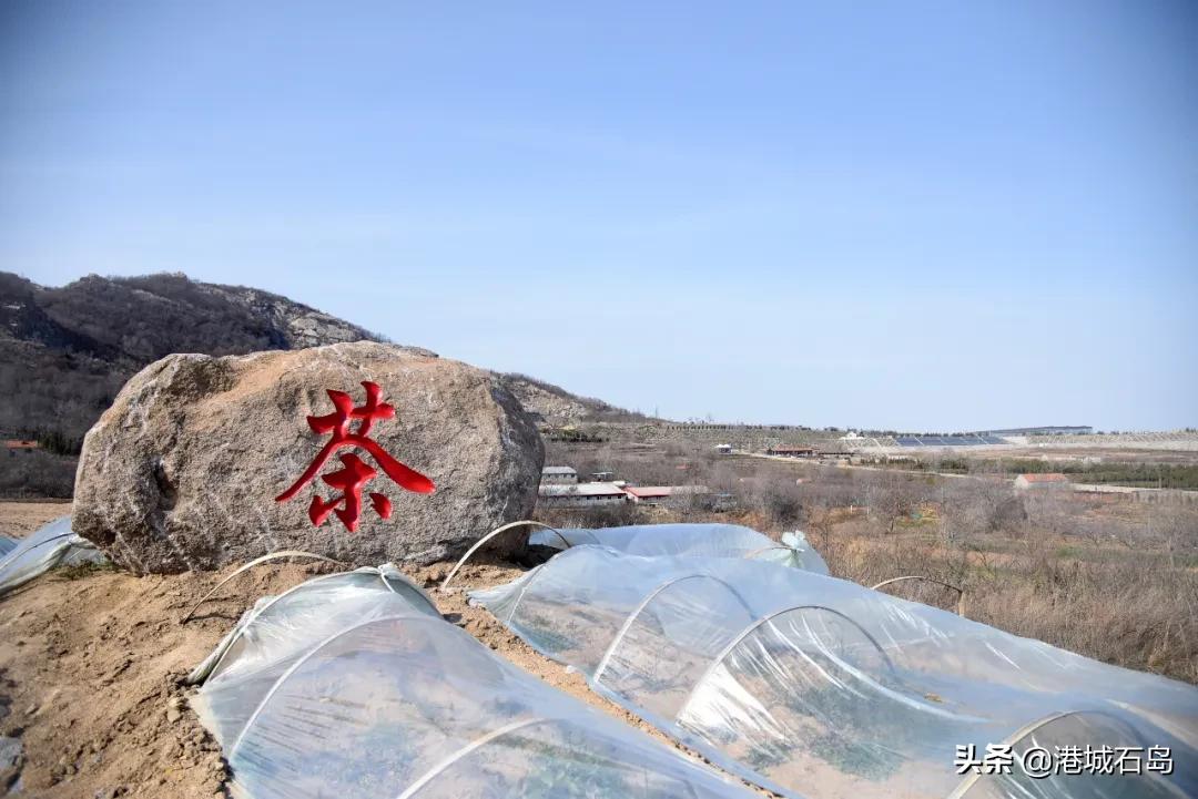 石岛即将开发的项目,石岛的项目