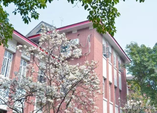重庆大学在同属985大学中怎么样？