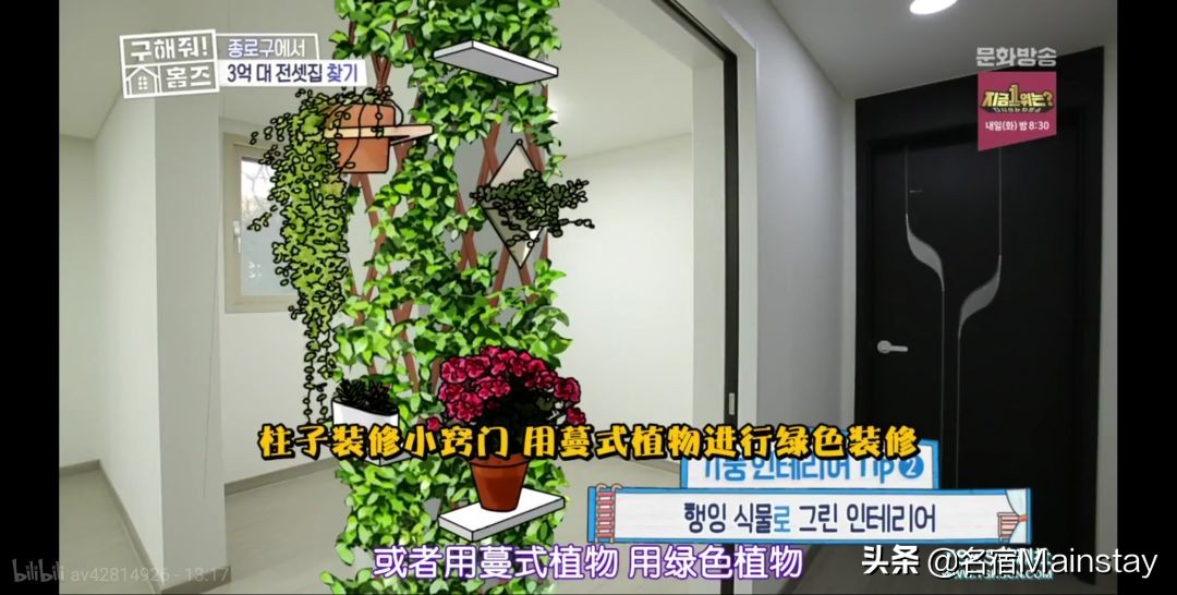 名宿看点|明星经纪人手把手教学,你5招挑到好房子