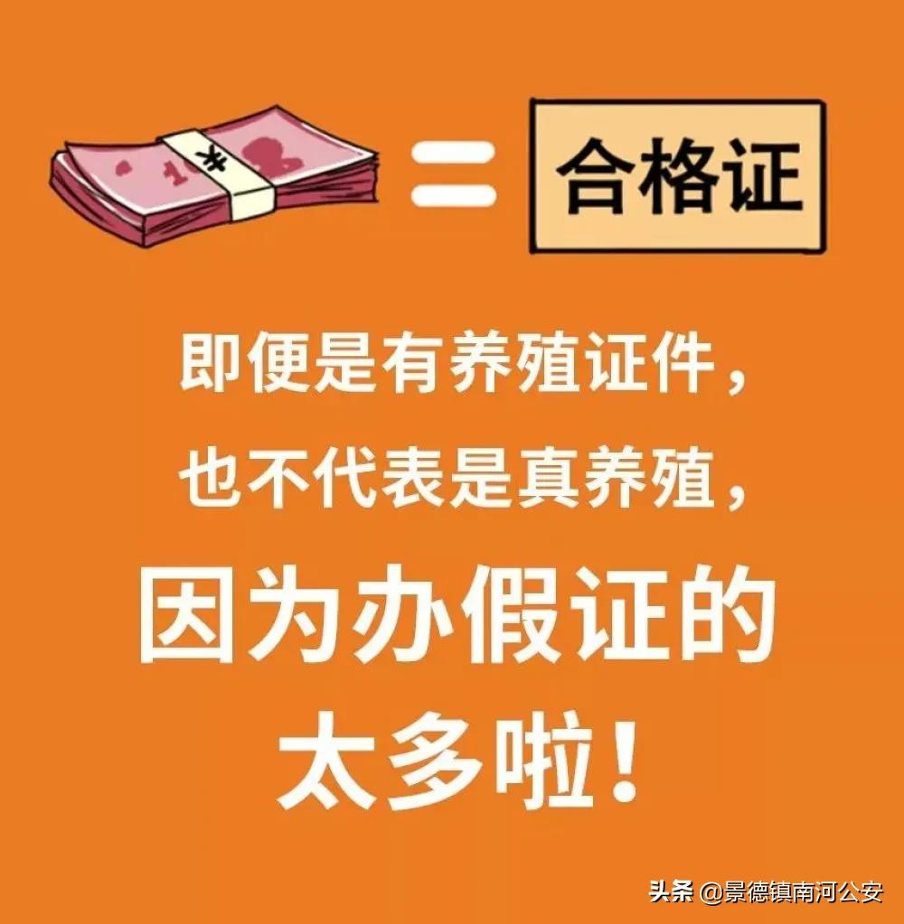 野味都有什么动物,哪些动物属于野味