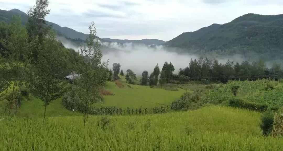 通江景观大道,通江大道北延通车