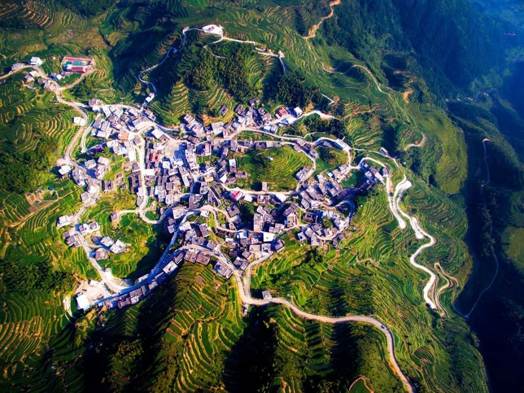 春日茗茶似神仙！厦门人究竟有多好这一口