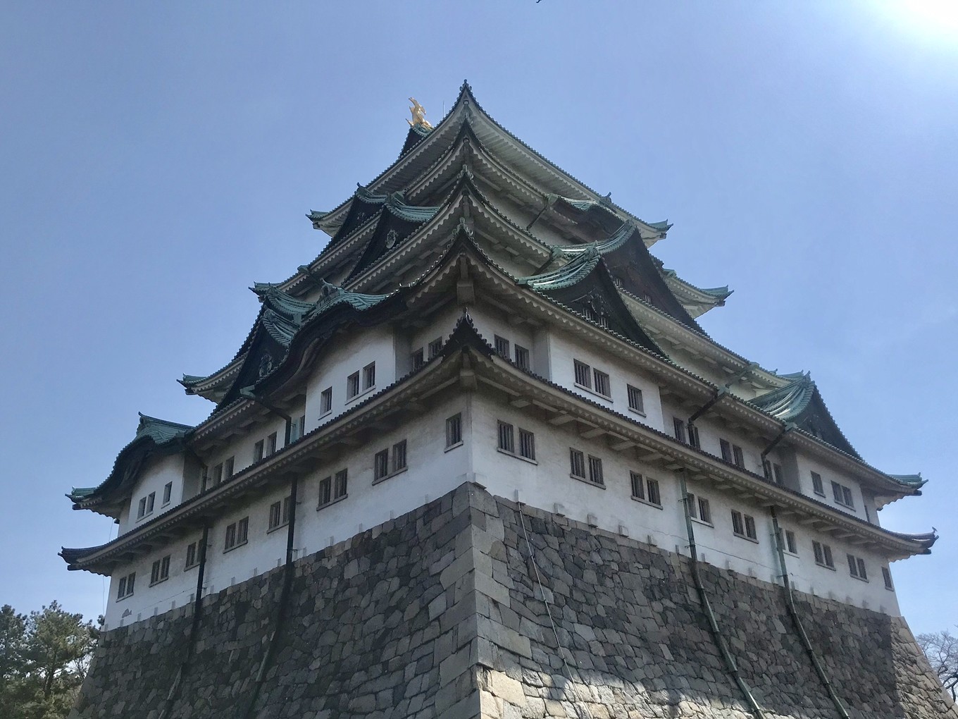 青春18旅游通票怎么买,坐jr游日本