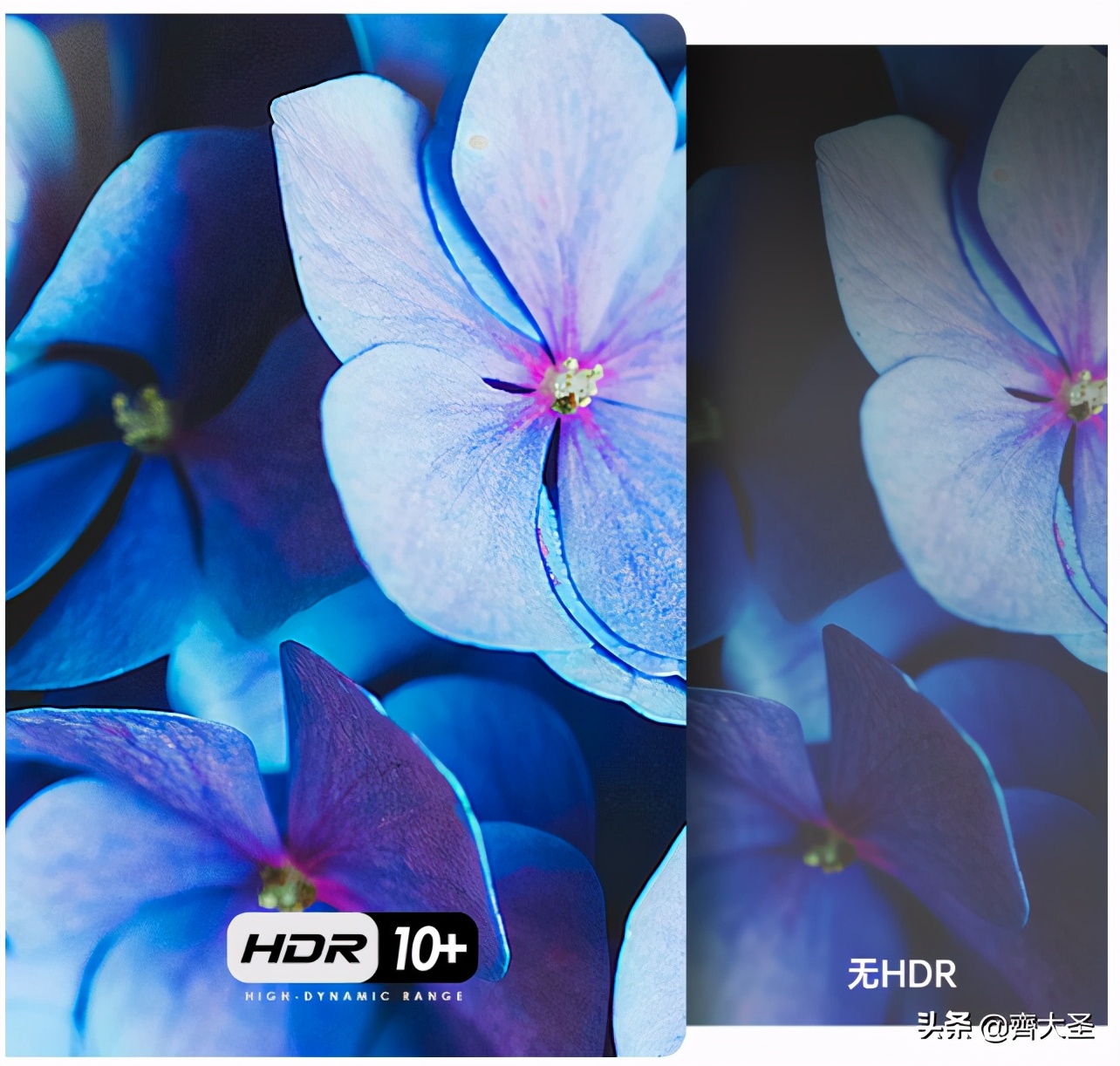 坚果j10投影仪可以看直播,坚果j10智能投影仪家用推荐