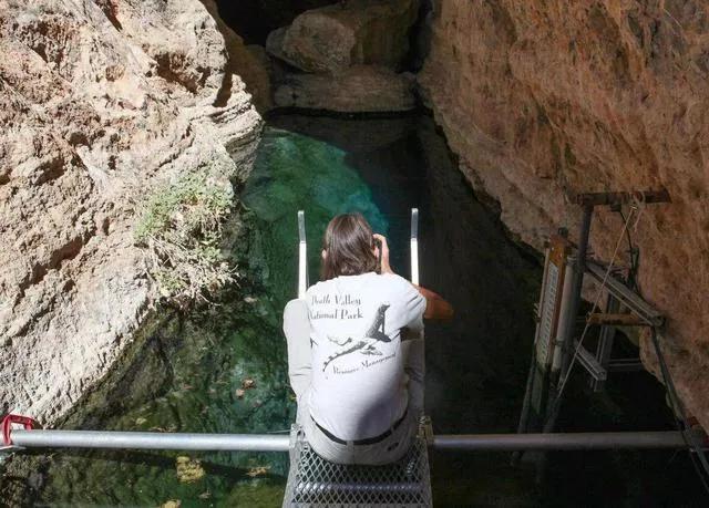 独存5万年仅剩38尾,号称沙漠独行者,魔鱂鱼的保护有多严格?