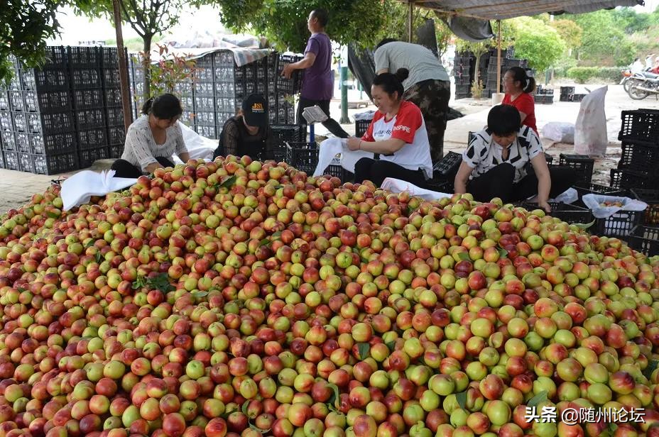 如何破解农产品销售难题,网销获客破解增长难题