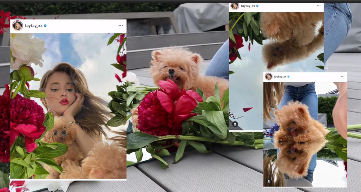 油管模特拍摄视频,油管模特