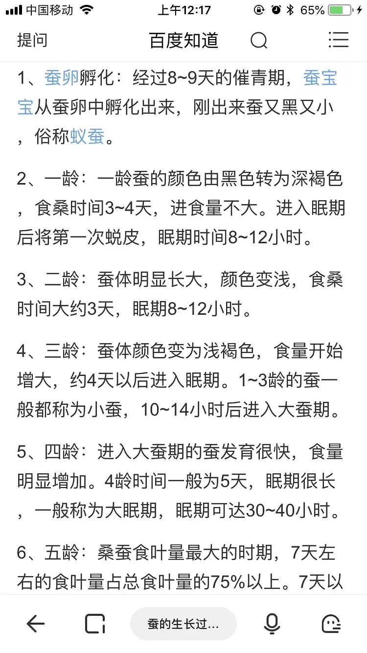 蚕宝宝你在养吗,蚕宝宝养的过密会死吗