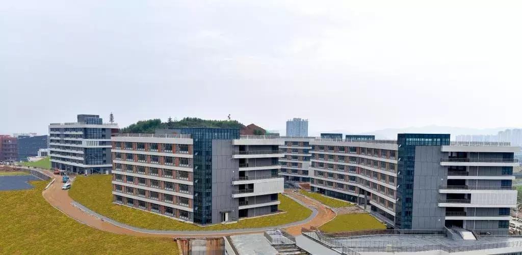 高考志愿填报南方科技大学,广西科技大学一志愿2024