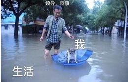 终于可以回去上班了表情包,关于要上班的表情包