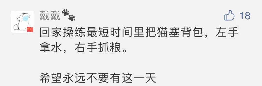 猫地震的时候没有反应,地震了猫会有反应吗