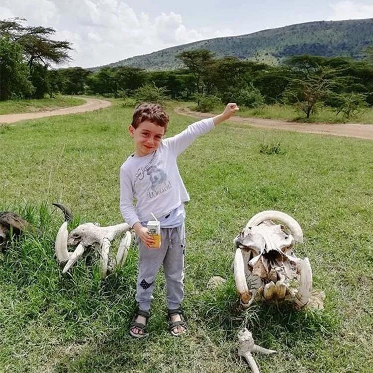 世间稀有的白色长颈鹿母子，在非洲被残忍猎杀，发现时只剩骨骼