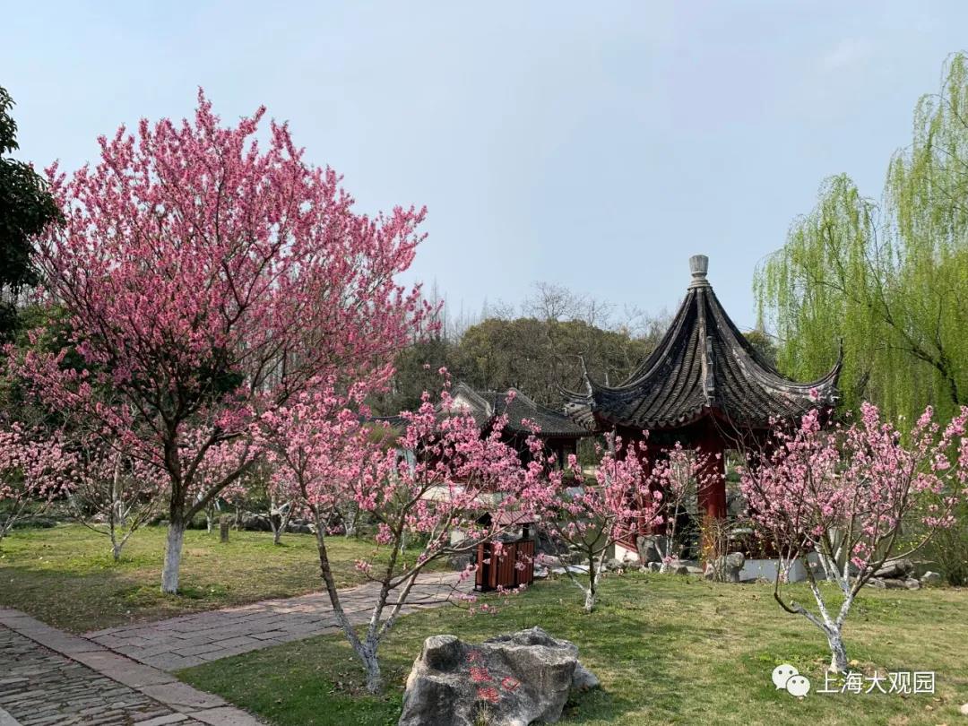 适合拍的古风景点,上海最值得拍照十条街