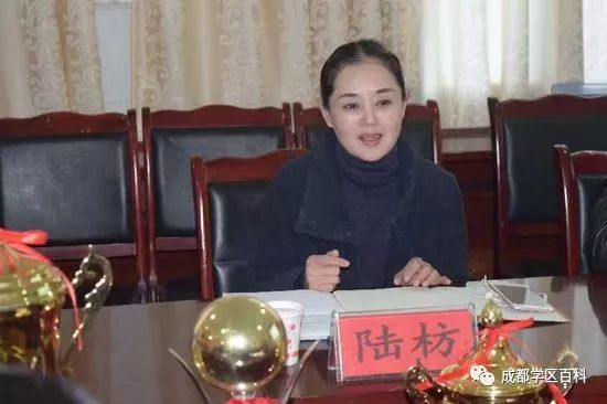 成都天府新区引进校长,天府新区校长名单