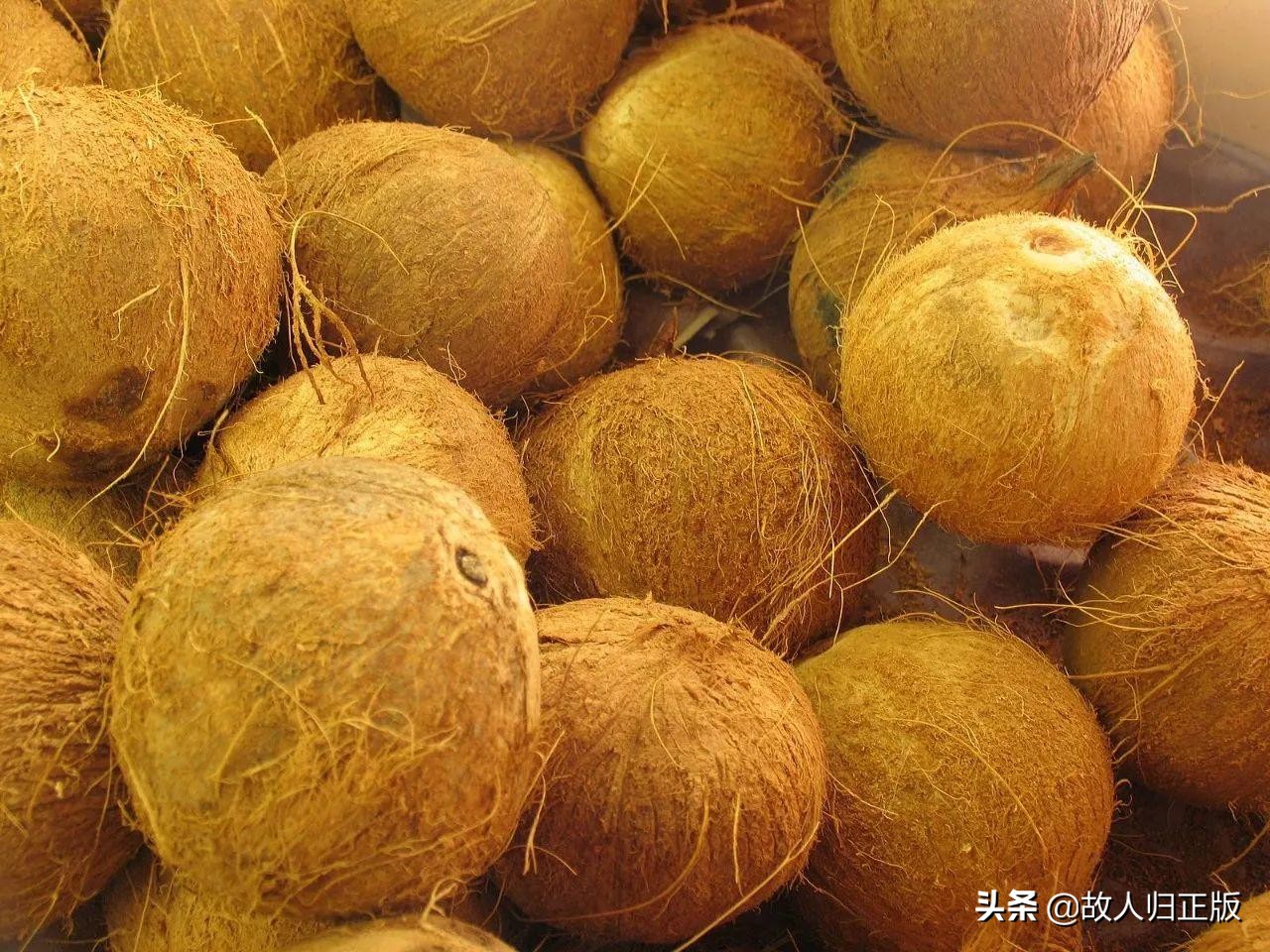 乳胶床垫下面垫弹簧床,弹簧床好还是乳胶床好