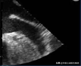 鍗庡尰蹇冭瘹鍖荤敓闆嗗洟鏈夐檺鍏徃,鍗庡尰蹇冭瘹鍖荤敓鐜扮姸