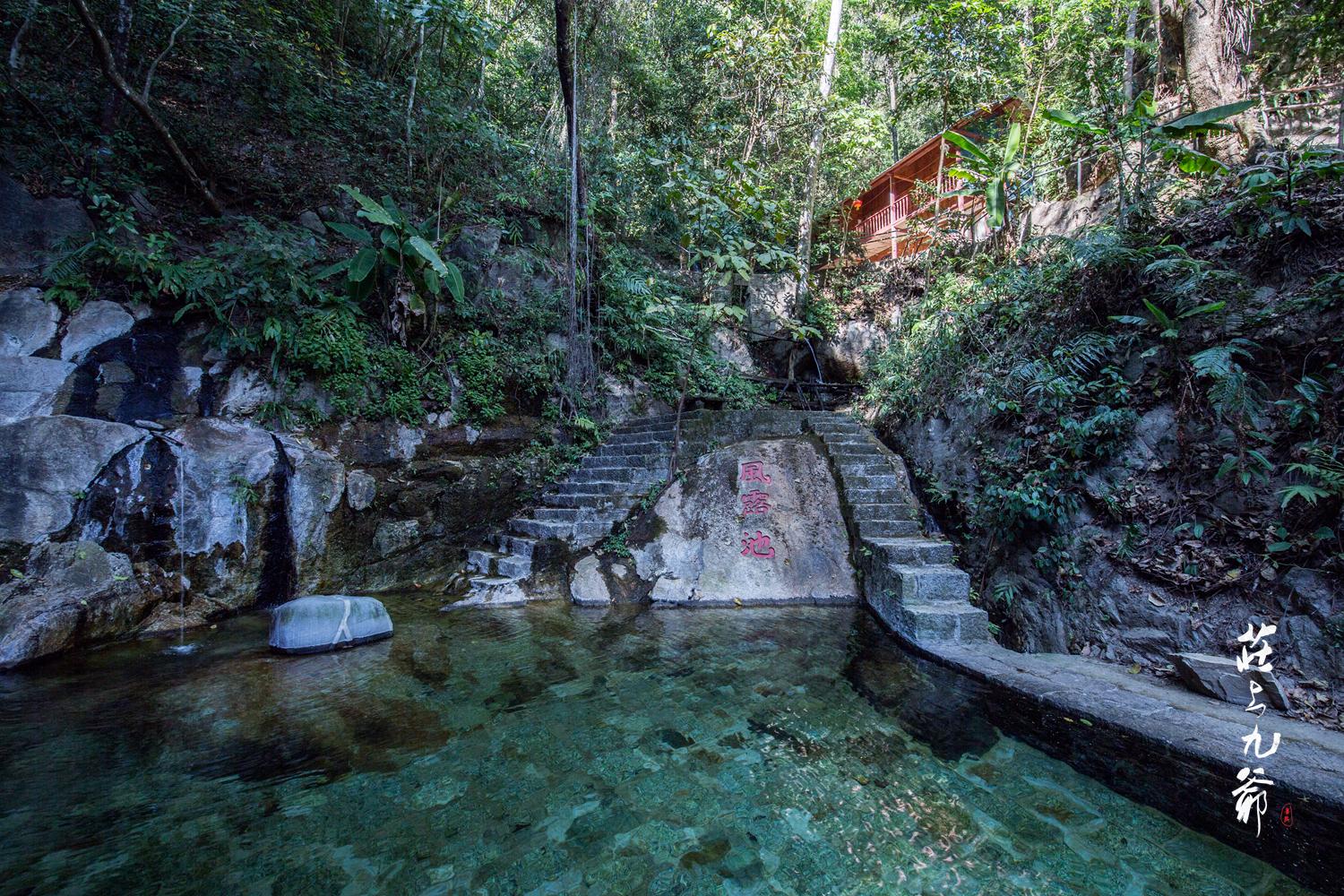 高黎贡山秘境森林,高黎贡山樱花谷温泉