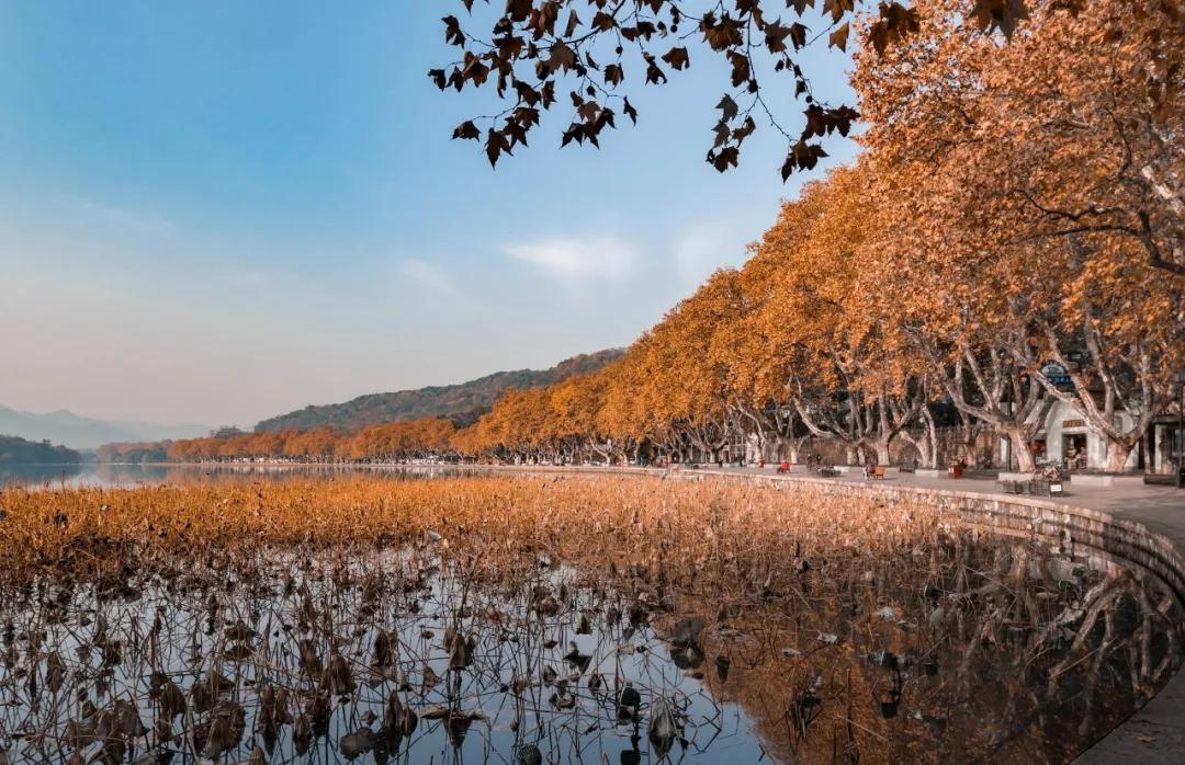 杭州攻略住宿,杭州住一个月攻略