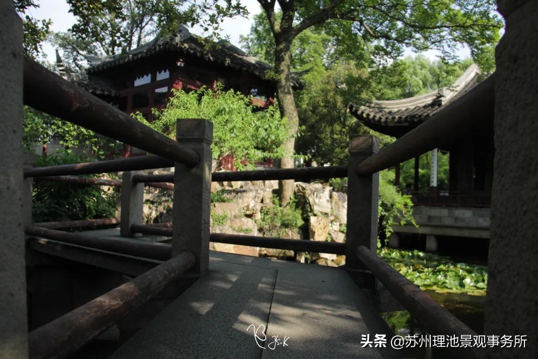 园林景观的文化特征,园林里有哪些文化