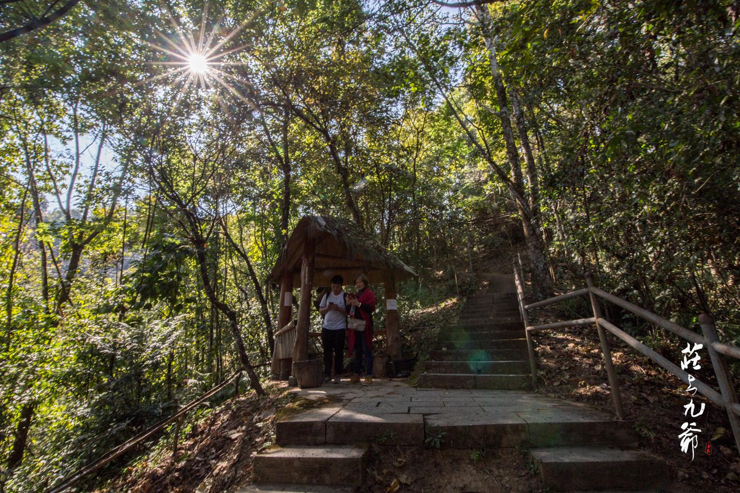 高黎贡山秘境森林,高黎贡山樱花谷温泉