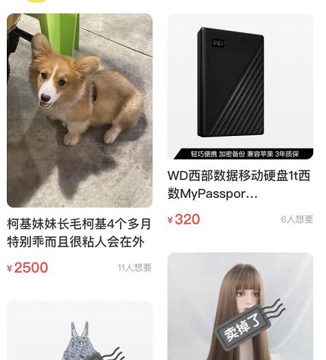 闲鱼买卖狗狗靠谱吗,闲鱼上卖的狗狗靠谱吗