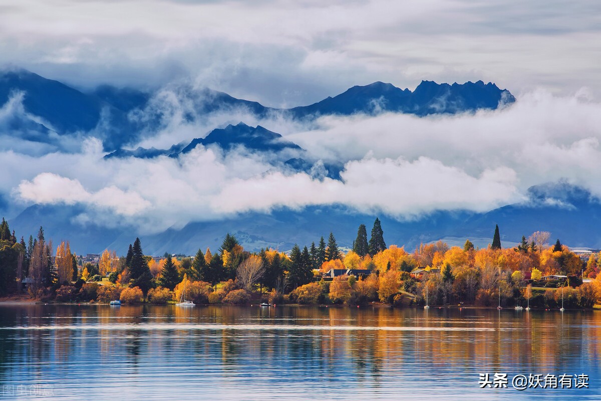 徕卡贵还是哈苏贵 (徕卡哈苏为什么贵)