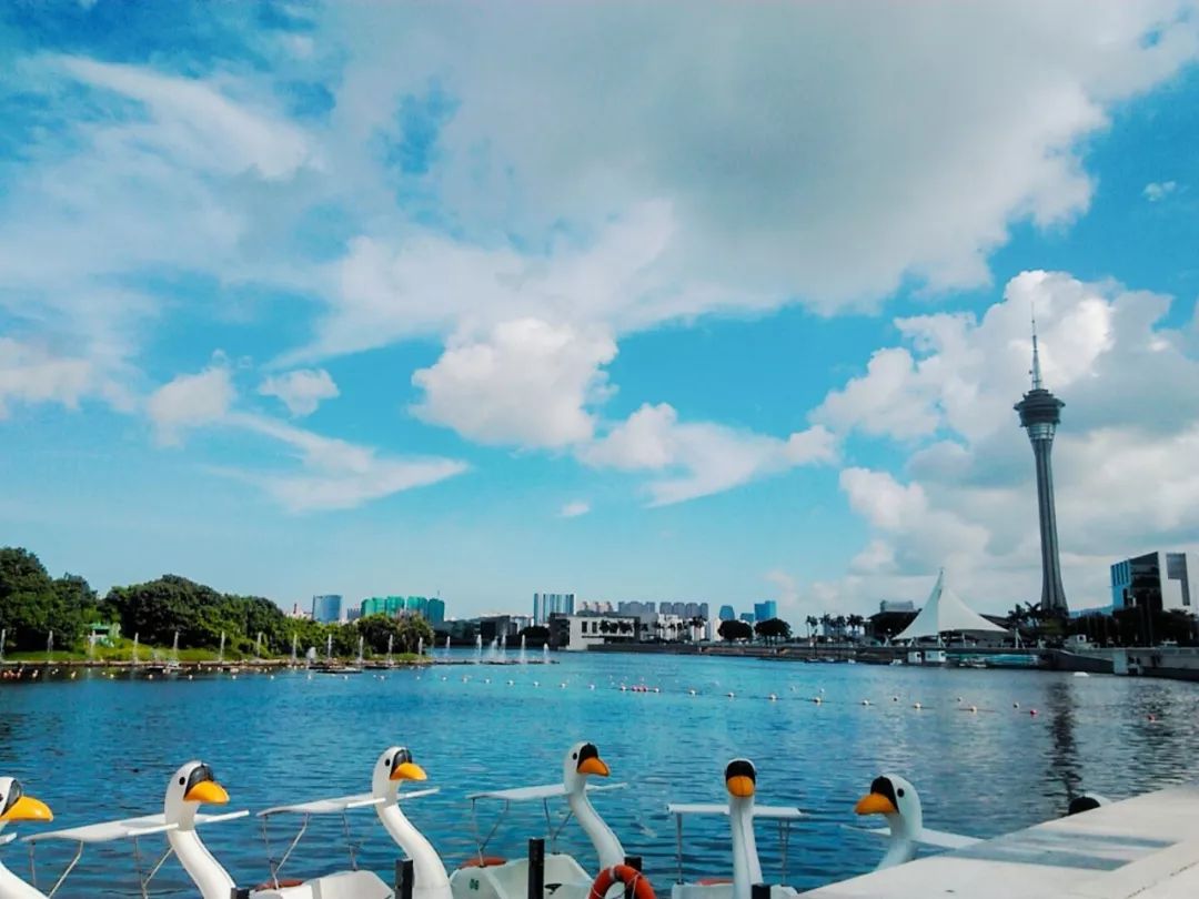 给你一个爱上夏天的理由,爱上澳门这座城市