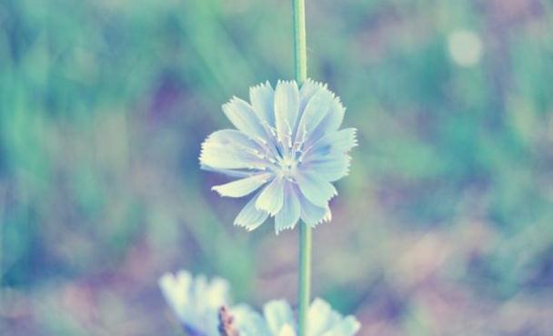 真正时来运转的人会有四个征兆,一个人时来运转的征兆