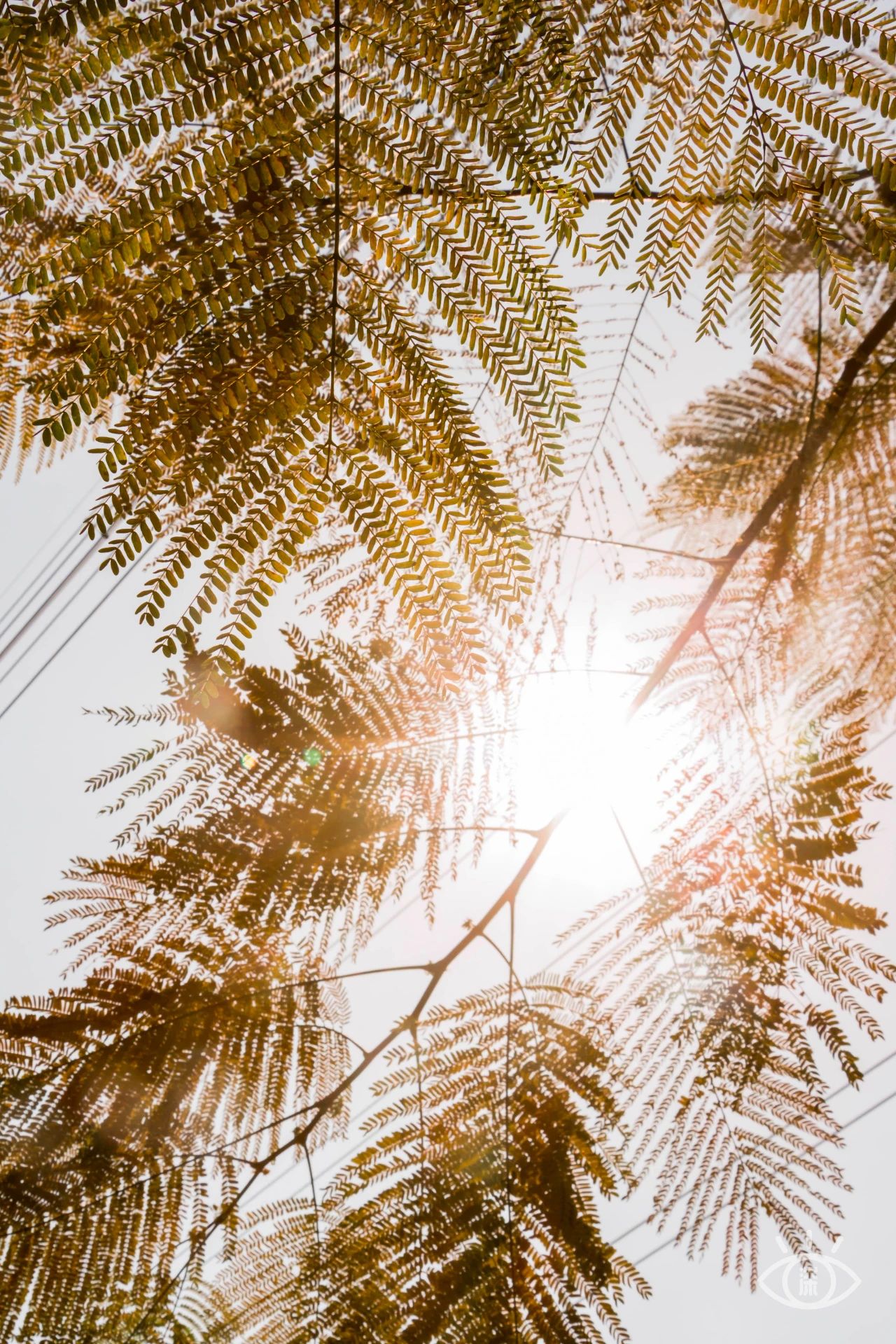 深圳各区最美的地方,深圳6个绝美地方