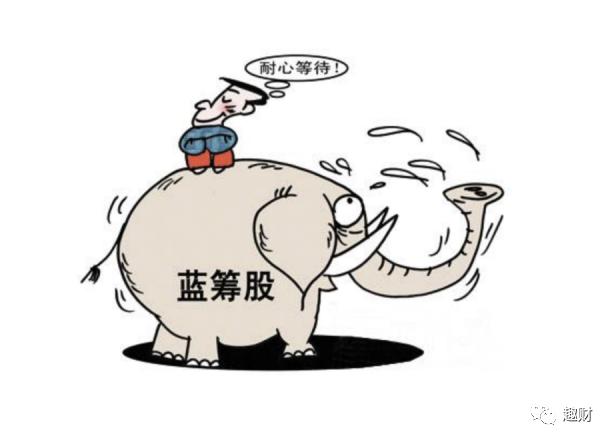 科普：蓝筹与白马