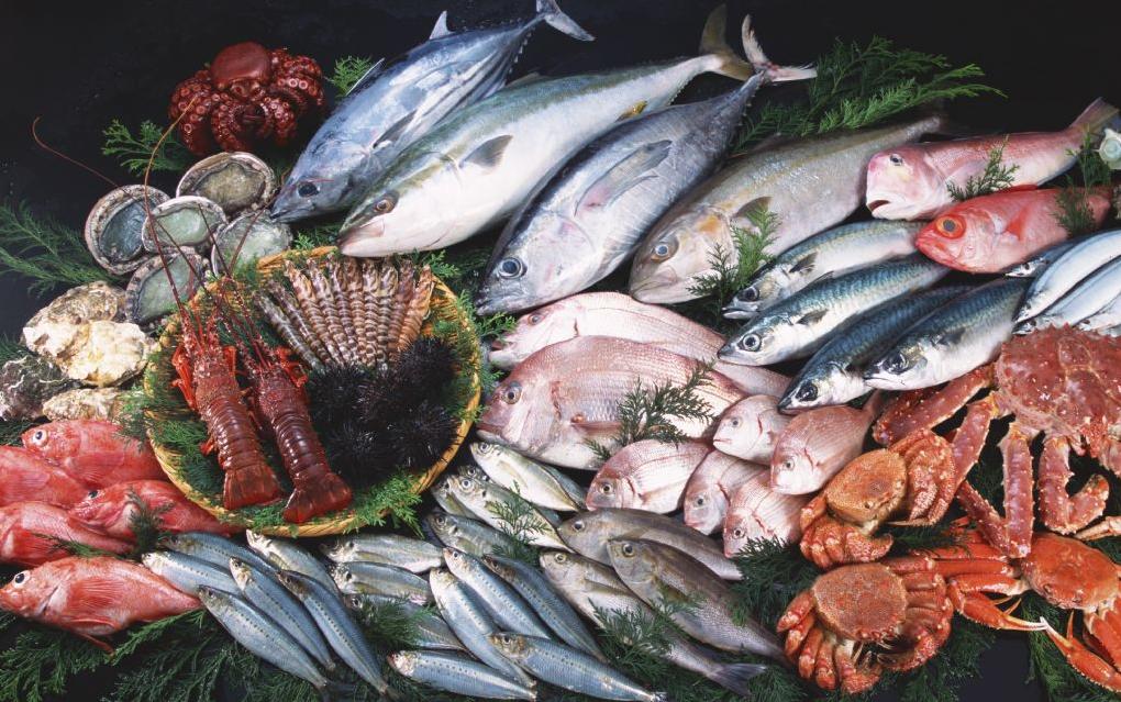 大写的“鲜”!当季美食,湖南人冬季爱吃的海鲜大盘点