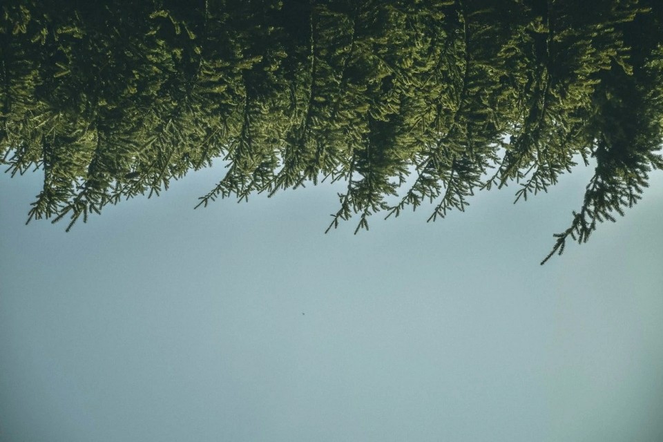 鐮磋瘧璇楀彞,鐮磋瘧姝屾洸