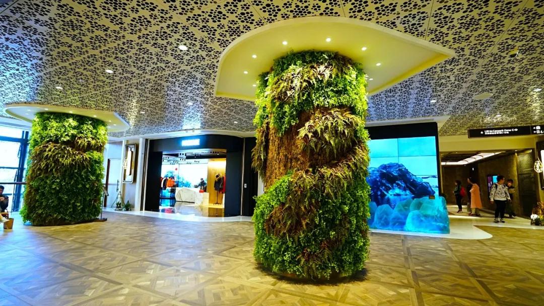 香港最大商场购物实拍视频,香港顶级商场视频